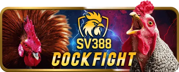 Thưởng tiền mặt zv99